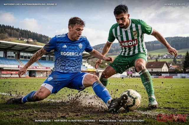 TSV Hartberg Chạm Trán Austria Lustenau Tại Austrian Bundesliga: Pháo Đài Profertil Arena Thử Thách Bản Lĩnh Nhóm Trụ Hạng