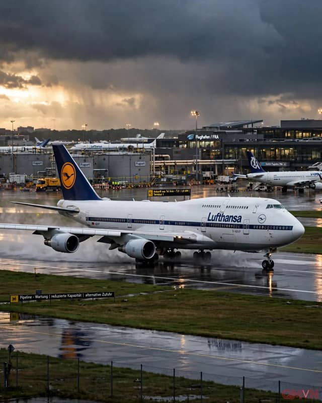 Lufthansa yêu cầu máy bay mang thêm nhiên liệu khi bay tới Frankfurt do nguồn cung bị thắt chặt